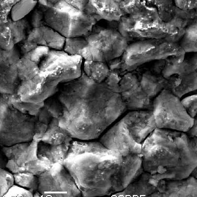 Detailed aspect of the fracture surface of the bolt, evidencing the intergranular morphology of the fracture (although with an oxide scale), typical of a hydrogen embrittlement mechanism.