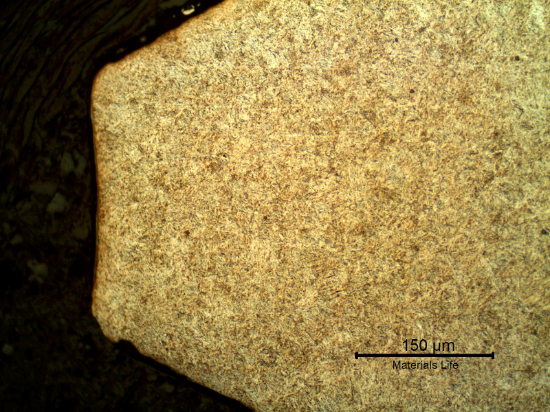 Micrographic detail of the thread top, showing that the thread was machined.