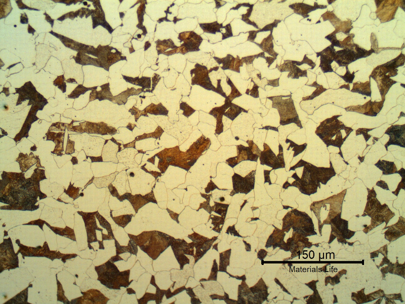Micrographic aspect of the longitudinal section of the cylinder steel substrate, presenting a ferritic-pearlitic structure.