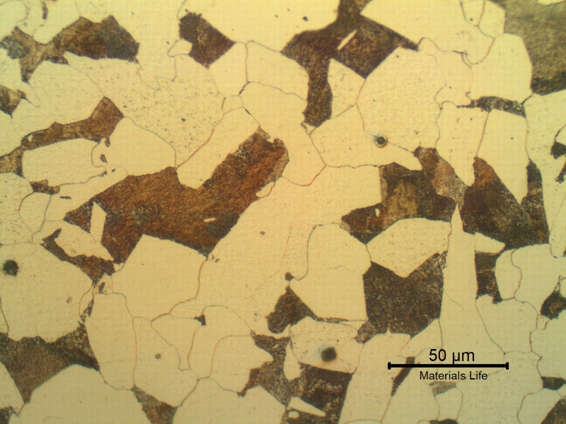 Micrographic detail of the ferritic-pearlitic structure of the cylinder steel substrate.