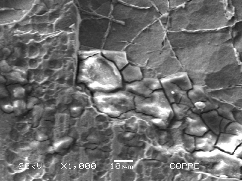 Scanning electron microscopy image in detail of the chromium plated cylinder surface in a region of localized dissolution. The surface shows several microcracks promoted by the effects of the microbiollogically induced corrosion. Inside the corroded pit the network of the chromium layer is evidenced by the MIC attack.