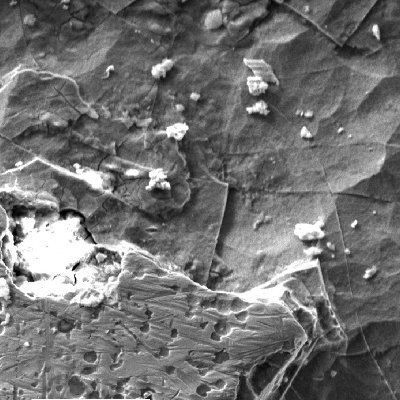 Scanning electron microscopy image of the chromium plated cylinder in a region of localized dissolution under deposit. Inside the shallow pitting the Cr structure with a network of layers is revealed by the etching effect promoted by microbiollogically induced corrosion.