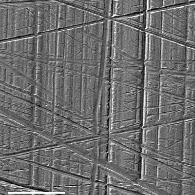 Scanning electron microscopy image of the chromium plated surface in a position where the cylinder was not damaged, showing the surface finishing.