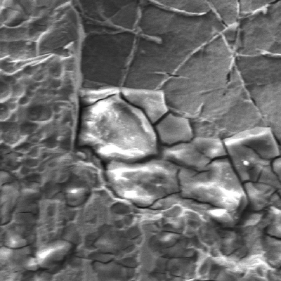 Scanning electron microscopy image in detail of the chromium plated cylinder surface in a region of localized dissolution. The surface shows several microcracks promoted by the effects of the microbiollogically induced corrosion. Inside the corroded pit the network of the chromium layer is evidenced by the MIC attack.