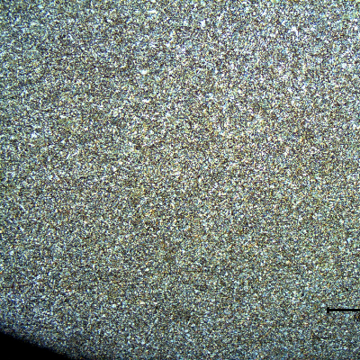 Micrography of the weld metal at the root of the joint. It is possible to see only reheated regions of primary ferritic structure. The average hardness level of this region is 231HV10.