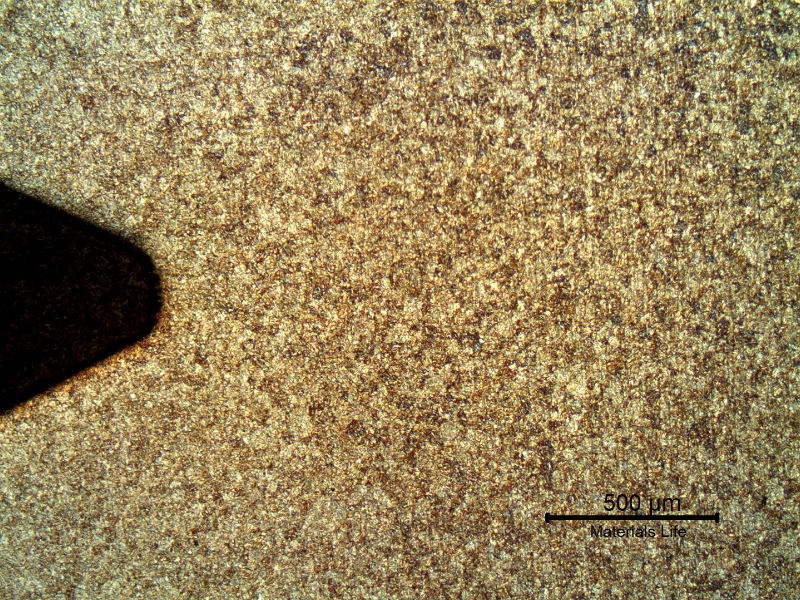 Micrographic aspect of the rolled thread that was heat treated later. Longitudinal section.