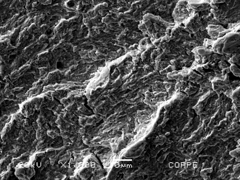 Detailed fractographic aspect of the flat part of the bolt fracture, presenting fatigue striations. The bolt is a medium strength low alloy steel, medium carbon, quenched and tempered.