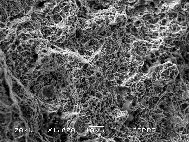 Fractographic detailed aspect of the rough part of the fracture surface, presenting ductile dimples. This is the final fracture, by overload.