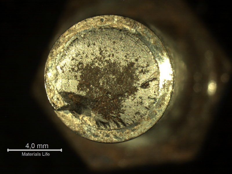 Macroscopic aspect of the bolt fracture.   Part of it is flat from the bottom of the thread.