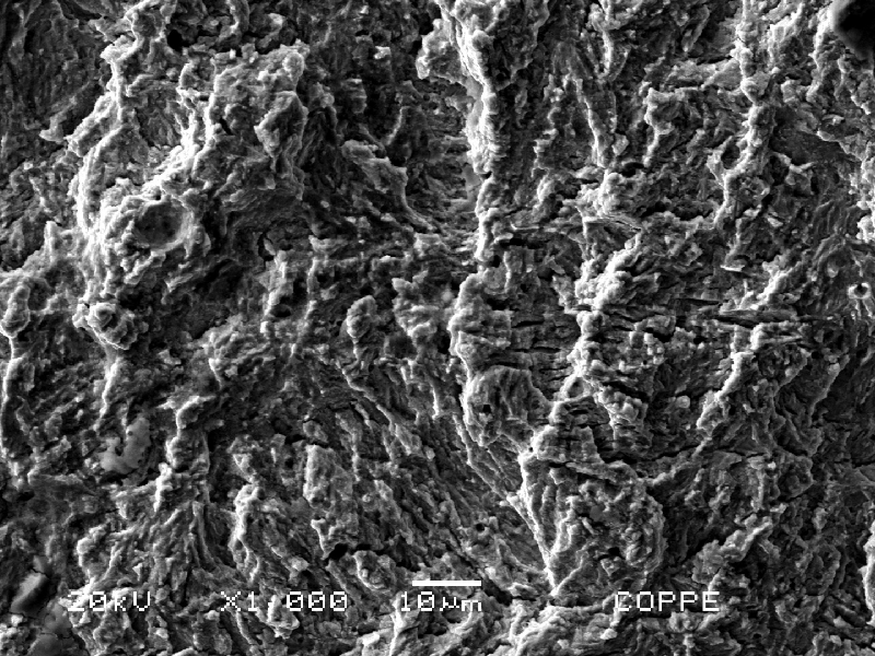 Aspect of the bolt fracture surface by scanning electron microscopy, (SEM) presenting striations that indicate a FATIGUE micromechanism. The bolt is of a medium strength (class 8.8) low alloy steel, medium carbon, quenched and tempered.