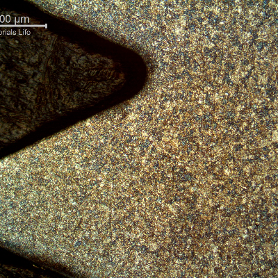 Micrographic aspect of the rolled thread that was heat treated later. Longitudinal section.