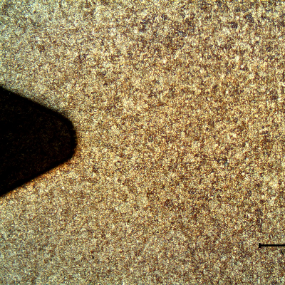 Micrographic aspect of the rolled thread that was heat treated later. Longitudinal section.