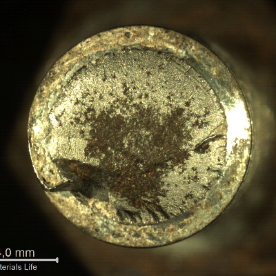 Macroscopic aspect of the bolt fracture.   Part of it is flat from the bottom of the thread.