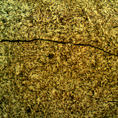 Micrographic detail of the cracking adjacent to the fracture. It is a secondary cracking that was created by overloading and was  propagating by fatigue.