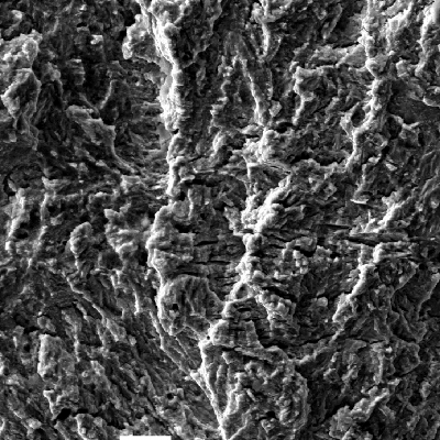 Aspect of the bolt fracture surface by scanning electron microscopy, (SEM) presenting striations that indicate a FATIGUE micromechanism.  The bolt is of a medium strength (class 8.8) low alloy steel, medium carbon, quenched and tempered.