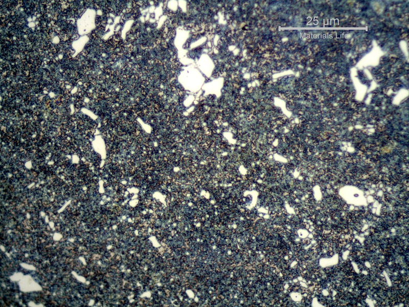 Martensitic structure close to the external diameter of the cylindrical roller bearing, in the circuferemtial direction, presenting large carbides (not aligned due to the direction of the section) and a martensitic matrix. in this region the fracture presented quasecleavage micromechanism as well as decohesion of large carbides.
