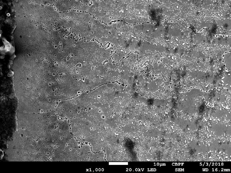 Image by scanning electron microscopy of the interface of the internally cladded pipe. It is a seamless pipe in low alloy steel X70 overlaid with Alloy 625 (by automatic GTAW process). The region is a detail in the side of the Ni alloy weld metal, presenting transgranular precipitation. The pipe was heat treated before bending (solution annelaing) and after bending (quenching and tempering to meet X70 grade). The microhardness of this region is higher than the value obtained out of this region, in the overlay.