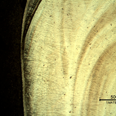 Low magnification micrography of a longitudinal section of the pipe at the interface,with oxalic acid electrolytic method that overetchs the low alloy steel structure (to the left side of the image), and reveals the structure of the clad interface.