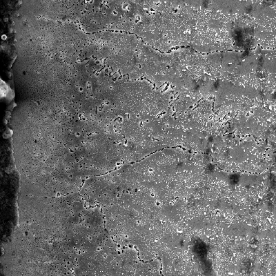 Image by scanning electron microscopy of the interface of the internally cladded pipe. It is a seamless pipe in low alloy steel X70 overlaid with Alloy 625 (by automatic GTAW process). The region is a detail in the side of the Ni alloy weld metal, presenting transgranular precipitation. The pipe was heat treated before bending (solution annelaing) and after bending (quenching and tempering to meet X70 grade). The microhardness of this region is higher than the value obtained out of this region, in the overlay.