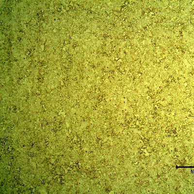 Micrography of a longitudinal section of the pipe substrate, in low magnification, showing a uniform microstructure,