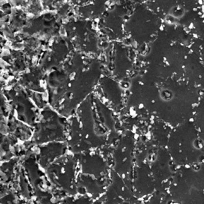Image by scanning electron microscopy of the metallurgically bonded interface of the internally cladded pipe.  It is a longitudinal seam welded pipe, with substrate in low alloy steel X65 and clad plate in Alloy 625 (welded by a solid state process). The region is a detail in the side of the Ni alloy clad plate where a grain refinement has occurred probably due to recrystallization of a strain hardened region during later heat treatment. The microhardness of this region is a lot higher than the value obtained out of this region, in the clad plate.