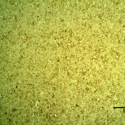 Micrography of a longitudinal section of the pipe substrate, in low magnification, showing a uniform microstructure,