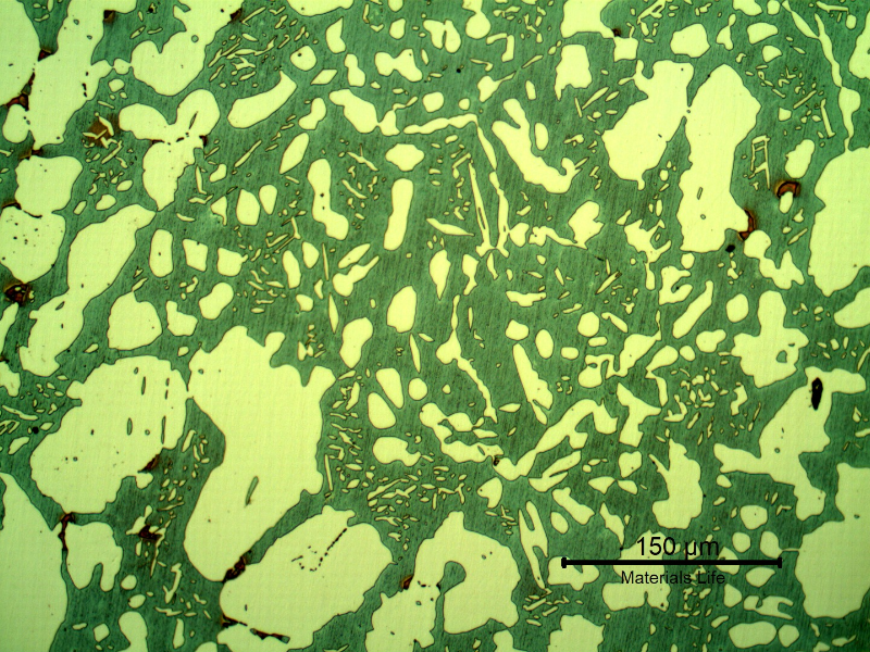 Micrographic detail of the valve body structure, far from the position where the cracking has occurred, in the bottom of the body.  The structure is ferritic austenitic, with some sigma phase, not in a large amount, indicating the valve structure was not uniform.