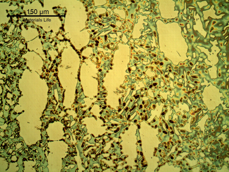 Micrography of the valve at the welded joint of the body to the insert (fillet weld). The heat affected zone shows that the sigma phase was removed, which means that the base metal was degradated and during welding the thermal cycle created a condition to remove the sigma phase (dissolve it).