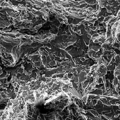 Fractographic aspect of the valve body fracture surface after opening the crack.  The fracture micromechanism is brittle, by cleavage, with several secondary microcracks associated to the sigma phase.