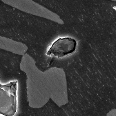 Higher magnification detail of the sigma phase by scaning electron microscopy.
