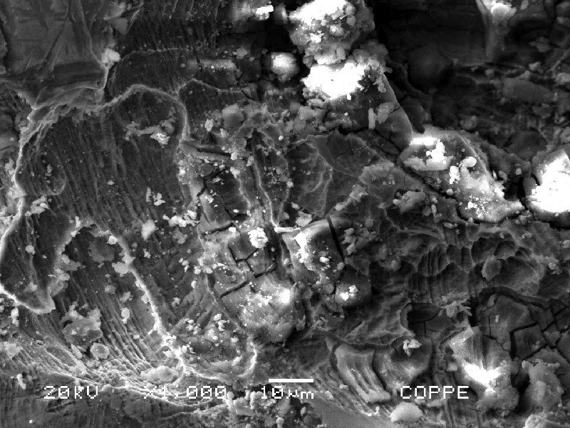Microscopical aspect by scanning electron microscopy (SEM) of the external surface of a drilling tool in a position that presented localized deposits and corrosion under deposit.  It is possible to see that the strain hardened surface was etched by the aggressive metabolites of the microorganisms.