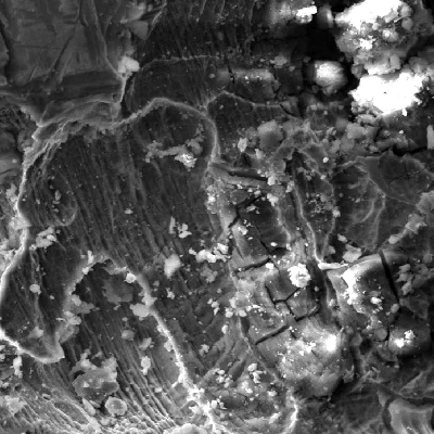 Microscopical aspect by scanning electron microscopy (SEM) of the external surface of a drilling tool in a position that presented localized deposits and corrosion under deposit.  It is possible to see that the strain hardened surface was etched by the aggressive metabolites of the microorganisms.