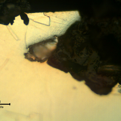 Micrographic detail of the damaged region close to the external surface, presenting a shallow localized dissolution/corrosion.