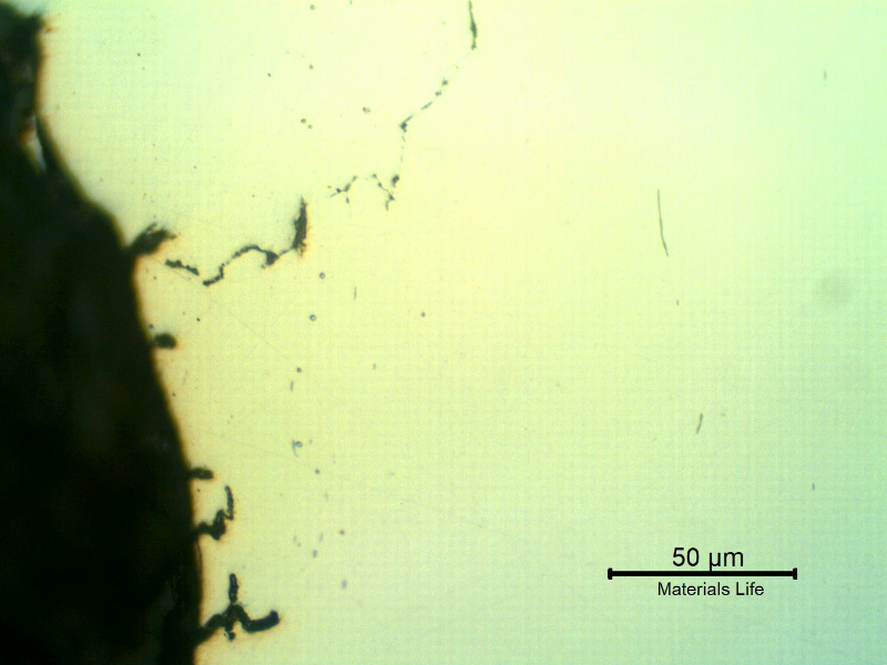 As polished micrographical detail of the cracks at the bottom of the thread fillet.  There are several small cracks some of them associated to longitudinal inclusions.  There are some regions presenting small "pores".