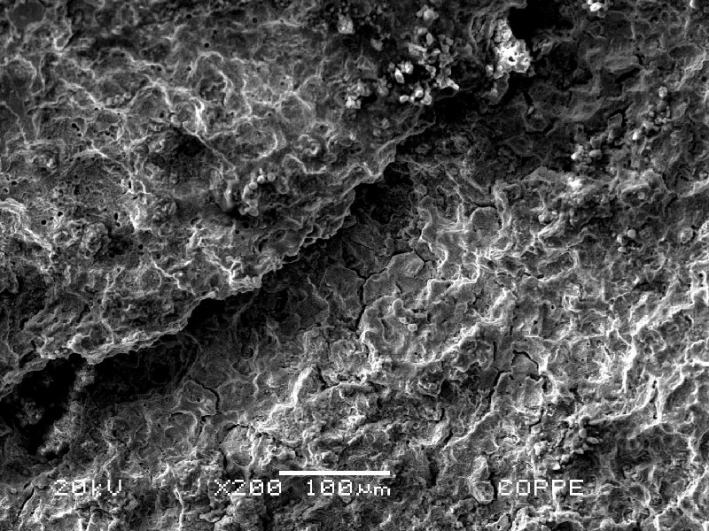 Fractographic aspect of the stud fracture surface, by scanning electron microscopy, close to the bottom of the thread fillet. In the center of the image it is possible to see secondary cracks with intergranular morphology.