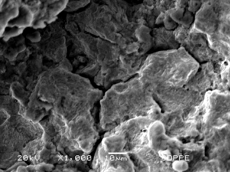 Fractographic detail by scanning electron microscopy of the secondary cracks with intergranular morphology.