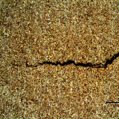 Low magnification micrography showing how the large secondary crack propagated in the thickness of the stud, with a branching aspect, different than the propagation close to the bottom of the thread fillet.