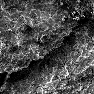 Fractographic aspect of the stud fracture surface, by scanning electron microscopy, close to the bottom of the thread fillet. In the center of the image it is possible to see secondary cracks with intergranular morphology.