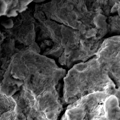 Fractographic detail by scanning electron microscopy of the secondary cracks with intergranular morphology.