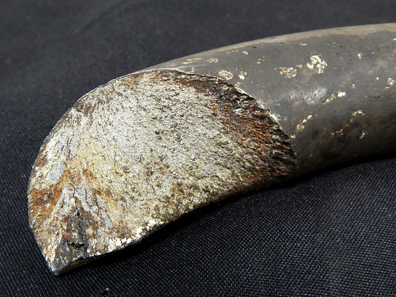 The spring ruptured in several positions.  This is the aspect of one of the fractures of the spring.  In the initiation of the fracture (top side of the figure) the fracture presents a different morphology.