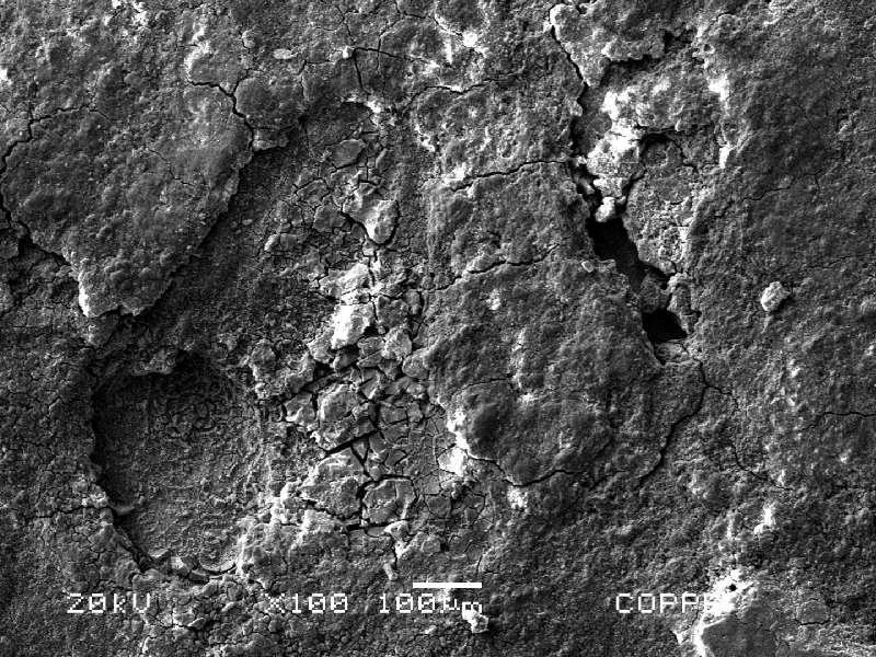Corroded spots (shallow pits full of products) at the spring surface.