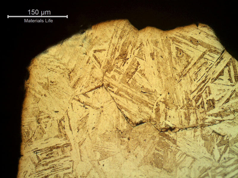 Micrographic detail of the intergranular morphology of the fracture surface, in the starting point of the failure.