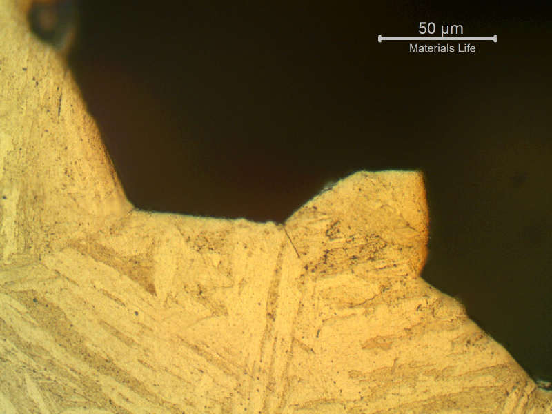 Micrographic detail of the intergranular morphology of the fracture surface, in the starting point of the failure.