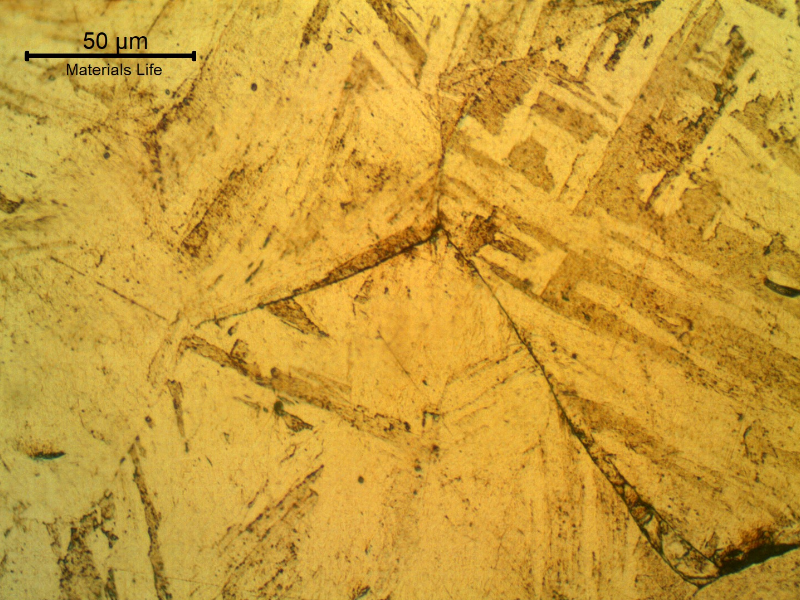 Micrographic detail of the intergranular morphology of the cracking, adjacent to the fracture surface, in the starting point of the failure.