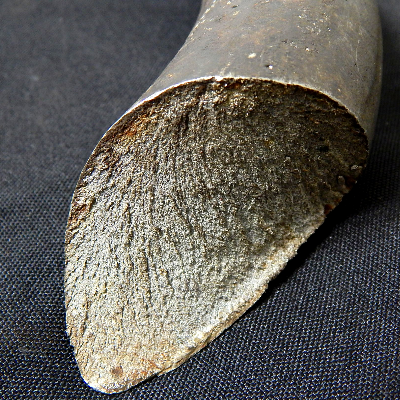 Aspect of the fracture of the spring.  Close to the surface the fracture presents the aspect of rusted spots.
