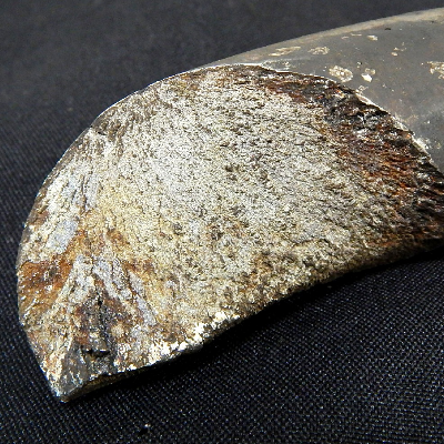 The spring ruptured in several positions.  This is the aspect of one of the fractures of the spring.  In the initiation of the fracture (top side of the figure) the fracture presents a different morphology.
