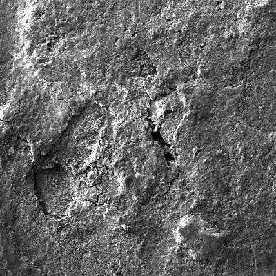 Corroded spots (shallow pits full of products) at the spring surface.