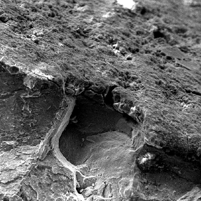 The scanning electron microscopy image presents the surface of the spring (top of the figure) where it was broken (the fracture is in the bottom of the figure). It is possible to see that there is a product at the surface and the material presents intergranular fracture, suggesting there was a hydrogen embrittlement effect. Important to observe that the material does not present pits.