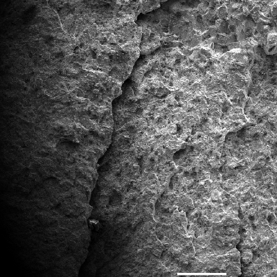 Transgranular fracture micromechanism in the final propagation of the fracture. Quasecleavage.