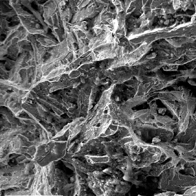 Transgranular fracture micromechanism in the final propagation of the fracture. Quasecleavage.